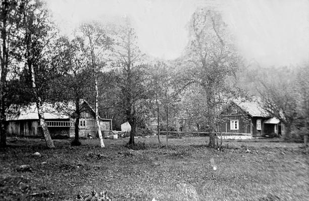 Hålltorps kvarn 1929 - boningshus och ladugård Här är Hålltorps kvarns bostadshus, ladugård, uthus och med kvarnbyggnader som skymtar i bakgrunden på andra sidan bäcken som då gick mellan kvarnen och
