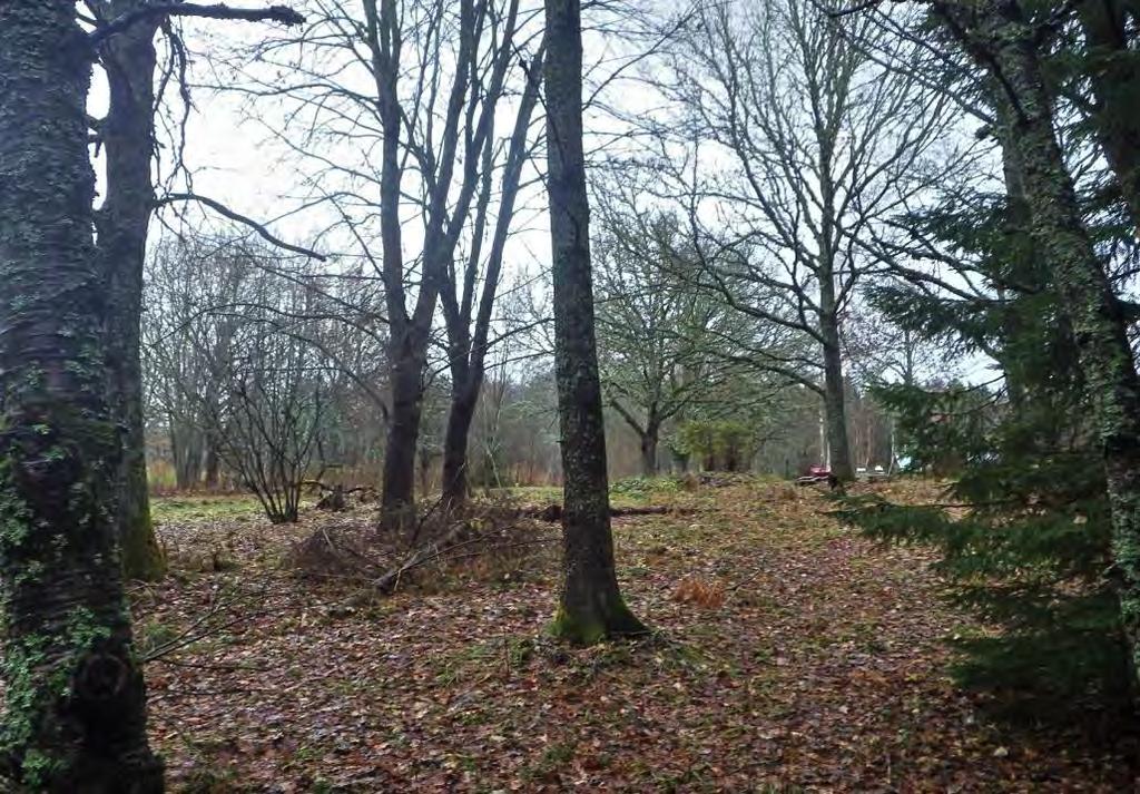 27 Område 20 1,5 ha Parkrest Klass 4, Visst naturvärde Området har ett visst biotopvärde knutet till glest stående lövträd och öppna gräsmarksfläckar.