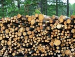 Adapting society to a changing climate: A necessary