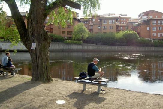 authorities Coordinates SMHIs work on implementing the Regulation on adaptation Runs