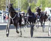 vita romer; röd Kin Oscarsson Ö /- /00,0a c, 0' Kin Oscarsson (Jim Oscarsson) Viktor Flink Ideorn G /- /0 0,a, 0' LULLABY S.I.. 0: *, AM 0, M Total: --. F,r.s.e Order By Fax - : -0-0,a 0.00 : --,a.