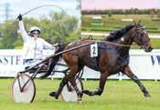 MILL ULTA 0: *, AK, M Total: --.0 F,sv.v.e lassic Photo - : --0,a.00 : -0-0,a.