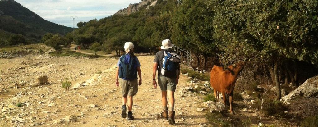 Mallorca, Valldemossa Pollença, 6 nätter 1(6) Vandra i Spanien Mallorca, 6 nätter Valldemossa Pollença, 5 vandringsdagar Många tänker säkert enbart på sol- och badsemester när Mallorca kommer på tal.