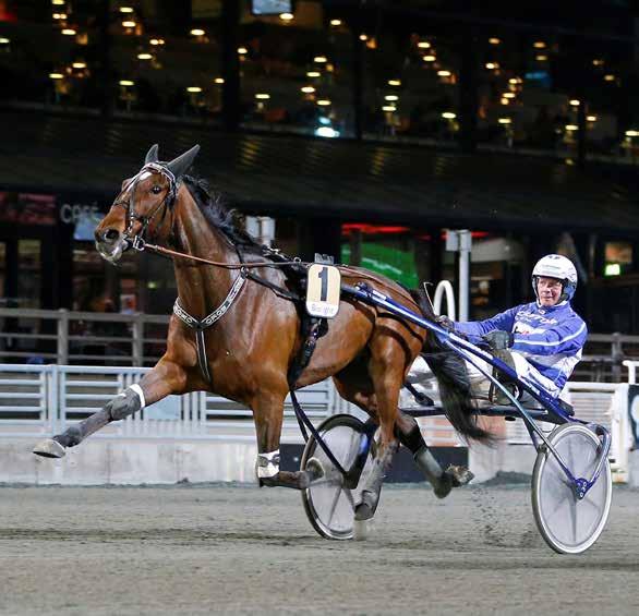 banprogram SOLVALLA