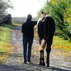 JÄGERSRO GALOPP Tävlingarna arrangeras av Svensk Galopp AB, www.svenskgalopp.se e-post info@svenskgalopp.se Adress gersro Galopp, Box 9506, 00 39 Malmö Öppettider Mån-fre 8.00-.00,.30-6.00 (fre -4.