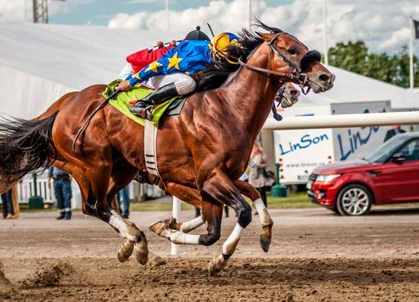 Galoppsport - en sport för alla Välkommen till galoppsportens fascinerande värld! Vi hoppas ditt besök på gersro Galopp idag ska bli en fest för alla sinnen och en upplevelse med mersmak.