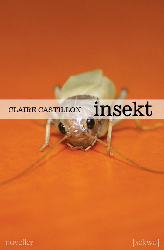 Insekt av Claire Castillon Insekt är nitton noveller om passionerade, skrämmande och tvetydiga känslor mellan mor och dotter.