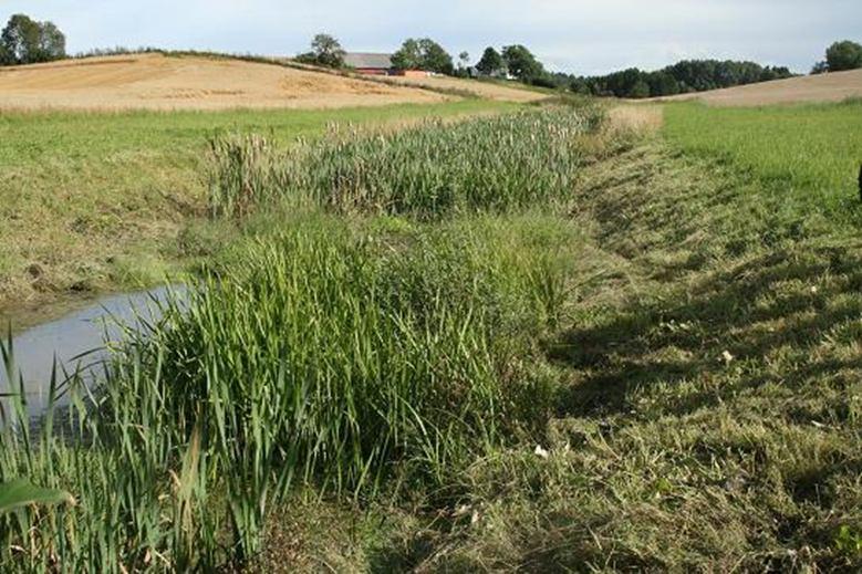 Fånga fosfor som lämnat åkern Åtgärder för att stoppa erosionen Stoppa erosionen i fältet - då