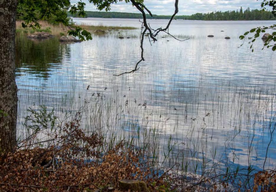 UPPDATERAD FISKERÄTTSFÖRTECKNING Lagen om fiskevårdsområden, LOFO, ställer inte krav på en andelsbaserad fiskerättsförteckning för att området ska kunna bildas.