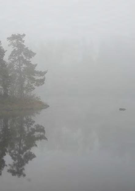 Underlag för kunskapslyft Fiskevårdsområdet utgör basen för lokal fiskeförvaltning på enskilt vatten.