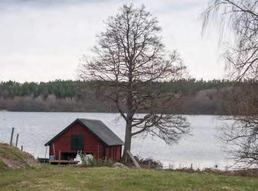 Vi har höjt våra fiskekortspriser ganska rejält de senaste åren, säger Christer Segerstéen, ordförande i föreningen. 2019 kostar ett dagkort hundra kronor.