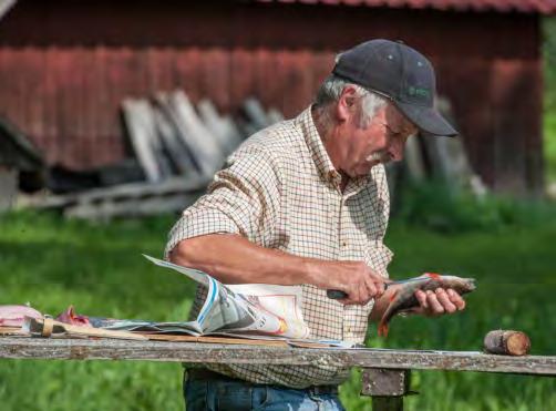 FISKERÄTTEN I SVERIGE Vid hemmansklyvning upphörde ursprungsfastigheten att existera. Hemman 1:1 upphörde och ersattes med Hemman 1:2 och 1:3. Nybildning kan också ske genom avstyckning.