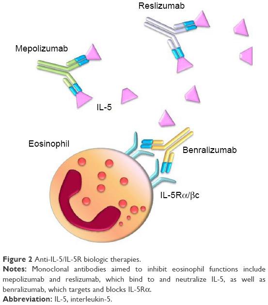 Farmakologisk behandling Steg 5: Vid svår grad av astma med otillräcklig effekt av inhalationssteroider i högdos och olika tilläggsläkemedel överväg omalizumab, TLA, anti-il5-läkemedel