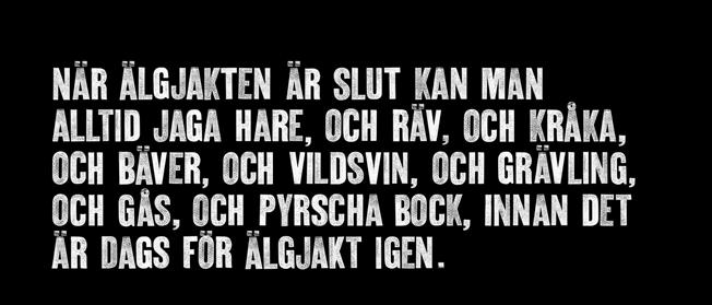 Klarade ekipaget av att lösa uppgifterna prickfritt fanns hela 40 poäng att hämta. Så stod det då klart att en Flat coated hade vunnit och slagit alla labradorer.