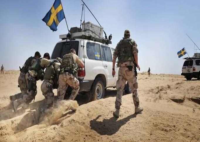Insatsingenjörernas riksförbund IIR IIR har idag befattningar som fältarbetsbefäl inom både hemvärnet och Försvarsmakten och kommer att behöva rekrytera kraftigt de närmsta åren för att möta de behov