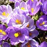 Paula Gårsjö, viola Sofia M Porle Kalvsviks kyrka onsdag 28/3 kl 19:00 Maria Ingemarsson Berg, orgel och piano Ulrika Stark Lördag 14/4 Vederslövs kyrka 18:00 Vart jag mig i världen vänder Gudstjänst