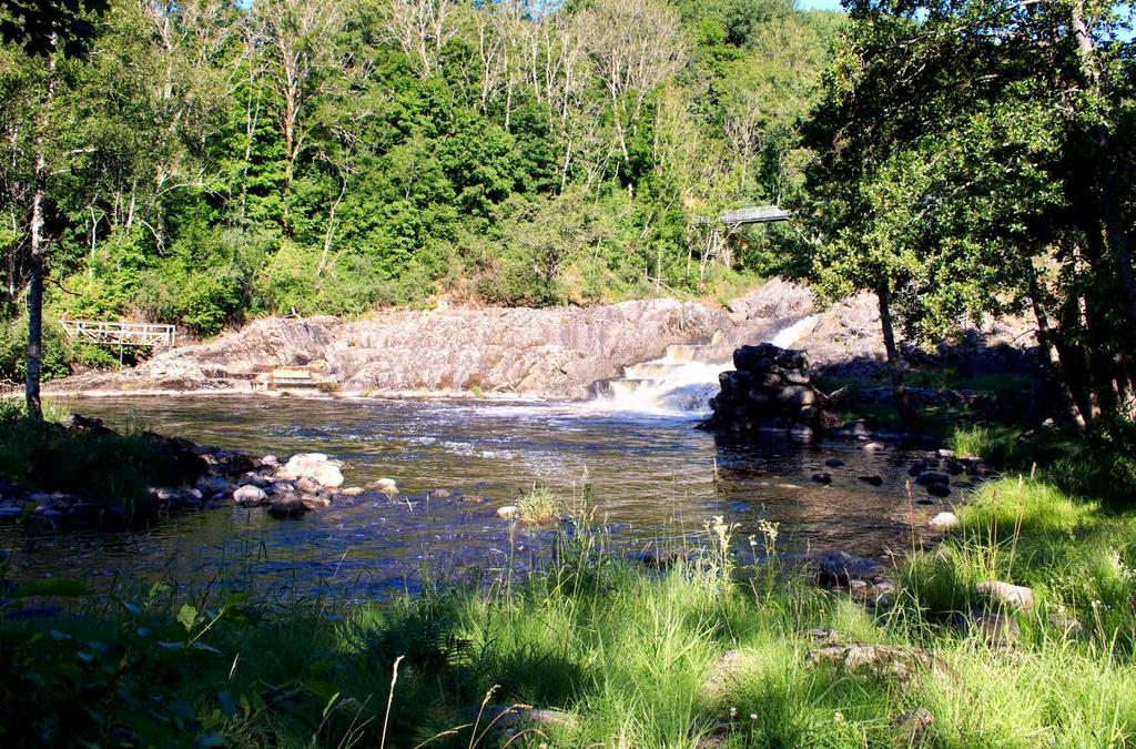 MUNKEDAL En naturnära plats där älvens laxar och traktens anrika herrgårdar förs samman av historiens vingslag Laxtrappan vid Brålandsfallet i Munkedal Laxfisket i Örekilsälven i Munkedal är känt för