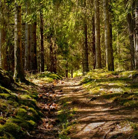 Leden bjuder på varierad natur och är uppdelad i etapper som passar bra för både dagsturer och längre vandringar.