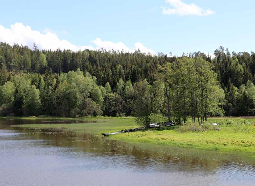 Saltkällan Saltkällan ligger strax söder om Munkedals samhälle vid Saltkällefjorden, intill utloppet av Örekilsälven. Saltkällan har ett historiskt förflutet som hamn och handelsplats.