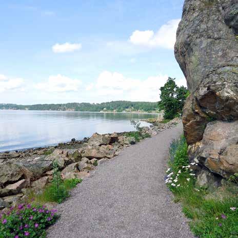 Naturen kan även erbjuda mountainbikecyklister en utmanande upplevelse.