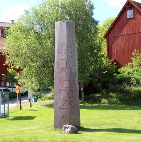 Nordens Ark bedriver uppfödning och naturvård och en del av djuren sätts tillbaka ut i sin naturliga miljö.