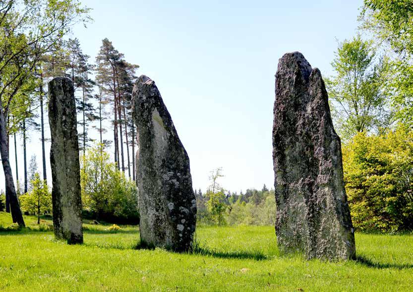 Stenehed Stenehed in Hällevadsholm is one of the rarest burial grounds in Bohuslän, with several Iron Age tombs. The most famous monument is a line of nine menhirs.