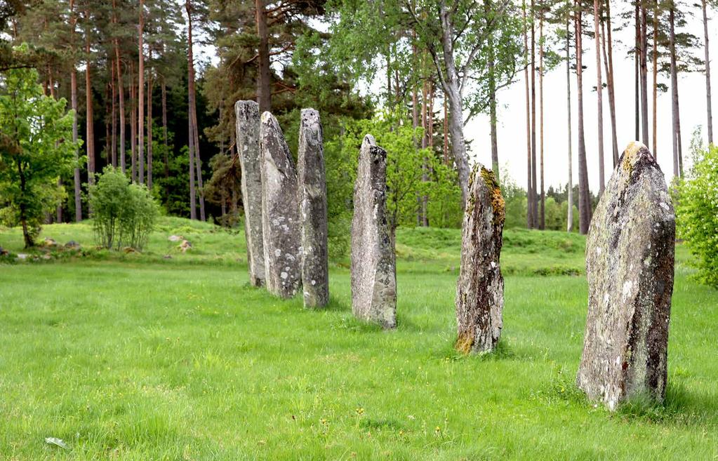 Stenehed Gravfältet vid Stenehed i Hällevadsholm är ett av de mest säregna i Bohuslän med flera av järnålderns gravar representerade.
