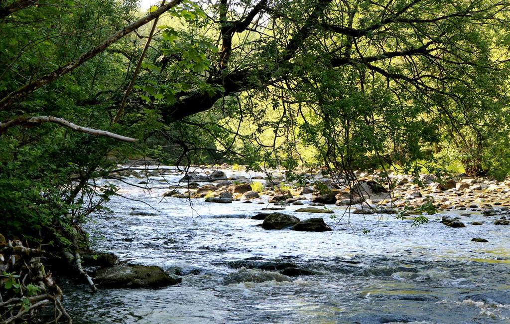 Landet Mitt Emellan Kommunerna Munkedal, Färgelanda och Dals Ed arrangerar tillsammans konstprojektet Landet Mitt Emellan, ett Land Art-projekt längs vägarna i ett vackert landskap.