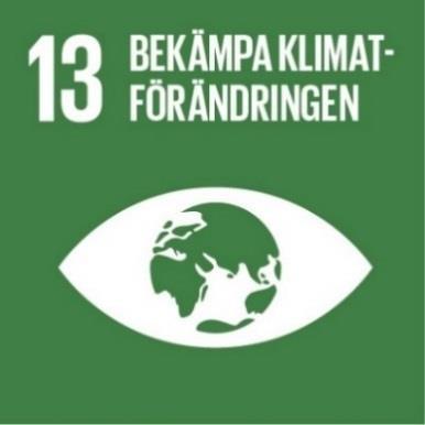 21 Projektet har bidragit till FN:s Globala mål 13 Bekämpa klimatförändringarna.