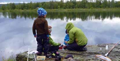 11.00. 3 juli - 14 augusti. Kortare dagstur, ca 2-3 timmar SAMLING: Vid Atostugan. Följ Krutfjellvägen förbi Joesjö, P-plats 2 km innan riksgränsen, gå 700 m efter mindre väg från parkeringen.