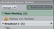 För att dela in deltagare i grupper klickar man först på deltagarens namn i poden Breakouts, går sedan till Assign och väljer den undergrupp som man vill placera deltagaren i.