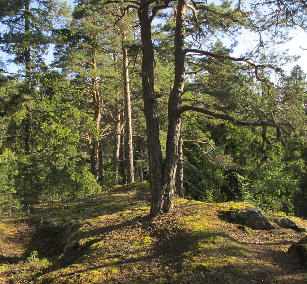 Södermanlands län PM buller