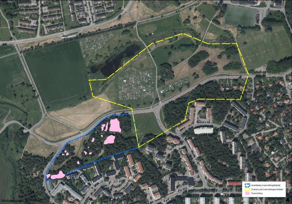 Resultaten från driftstaketen i kombination med överkörda groddjur indikerade att en stor del av groddjuren kom från en övervintringsplats sydost om dammen (se figur 7).