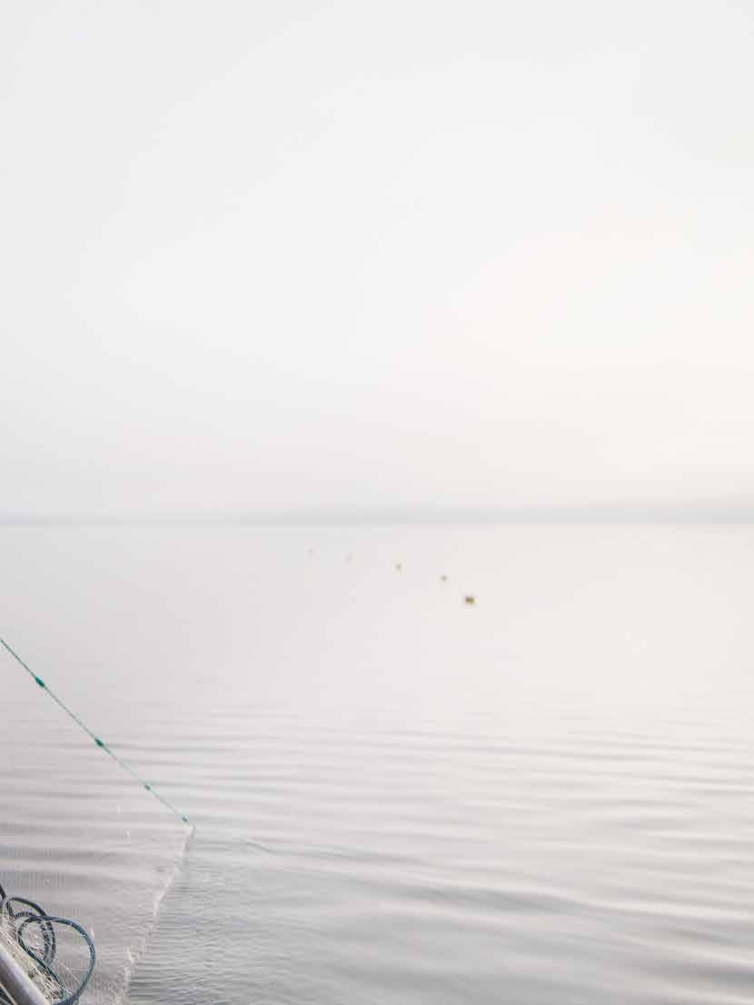 PÅ TUR MED FORSKARNA 2018 FENA Provfisket avslöjar sjöns ekologiska tillstånd Naturresursinstitutet fiskbeståndsforskare vistas den största delen av sommaren på sjöar där de lägger ut och lyfter upp