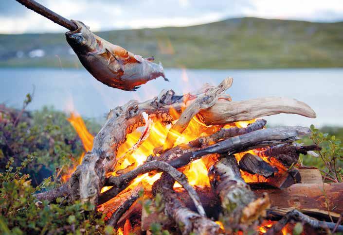 F E N A 2 018 FISKEVÅRDSAVGIFTEN NYCKELN TILL FISKEVATTEN Allemansrätten gäller även fiskare Fisk som infångats själv har sin givna plats på finländarnas matbord.