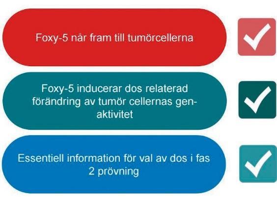 Prekliniska resultat Foxy-5 har testats i ett antal toxikologiska studier och har visat sig vara mycket väl tolererad.