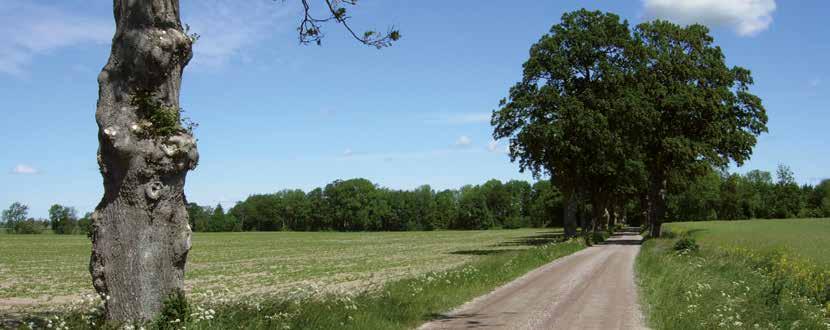 På storskifteskartan från 1760 bestod Norra Vallåkra by av fem gårdar som låg längs vattendragen strax väster om Norra Vallåkravägen. Två av dessa var dubbelgårdar.