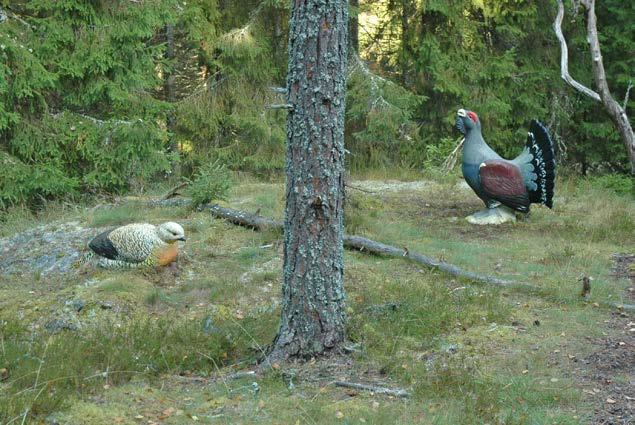 Den är anpassad till platsen, det vill säga det som tas upp går att se och uppleva längs stigen. Stigen förstärker och stimulerar besökare att använda flera sinnen.