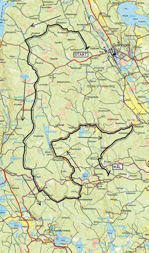 Tryhorva norr om Skräddarefall, vinkelsvängen med chikan på asfalt vid