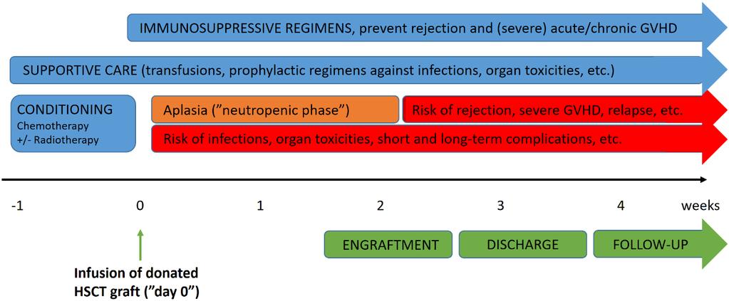 Figure 4: Summary of the clinical allogeneic HSCT procedure during the first month (top) and months/years (bottom). 1.2.