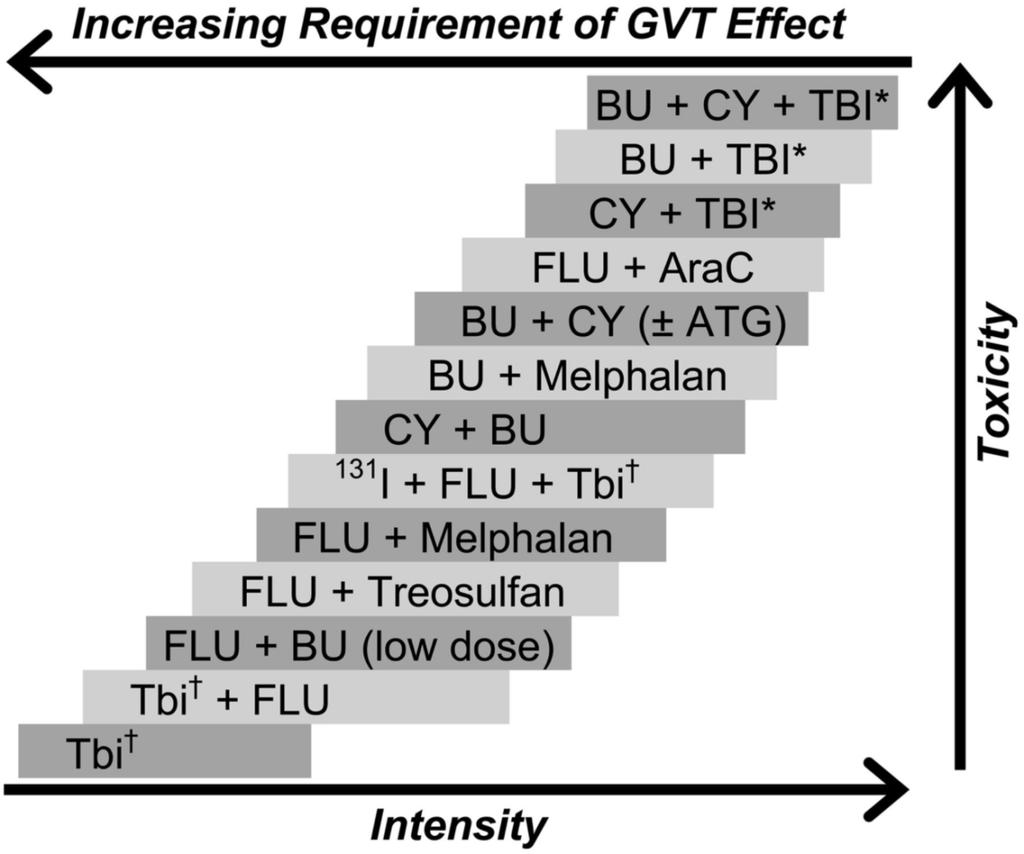 made allogeneic HSCT a valid treatment option for older patients or patients with heavier comorbidity burden than was previously accepted.