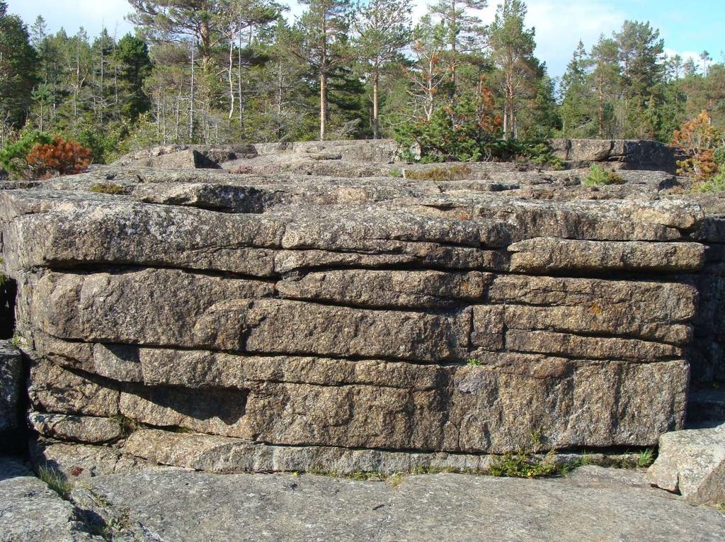 TIDNINGEN FÖR