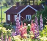 Flen är känt som glasstaden med