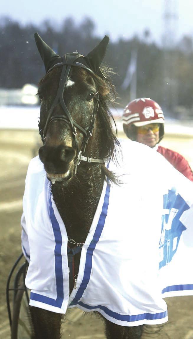 Bollnäs omgång 0 0, Bankod: Bs, Pris: 0 kr (inkl