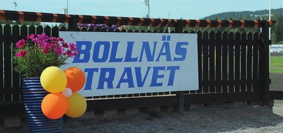 Edel foder Havre, mineraler saltstenar tillbehör mm.. hitta hit Travbanan är belägen, kilometer från Bollnäs efter riksväg 0 mot Alfta Edsbyn.