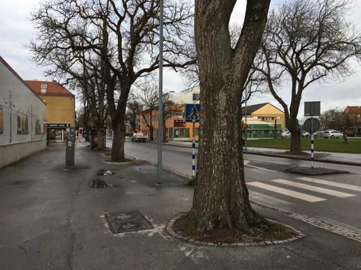 Det omfattas då utöver biotopskyddslagen även av ett Samråd om väsentlig ändring av naturmiljön. Det finns många träd med mycket höga estetiska och sociala värden.