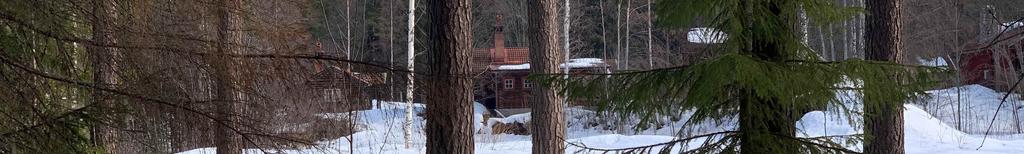 Jakt Fastigheten har i dagsläget jakträtt inom