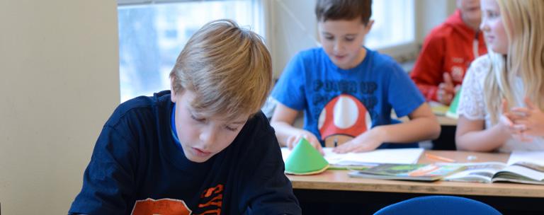 Språk i matematik Åk 1 3, 4 6 och 7 9 Främja elevers lärande i SO Främja elevers lärande i NO, I Främja elevers lärande i NO, II i matematik