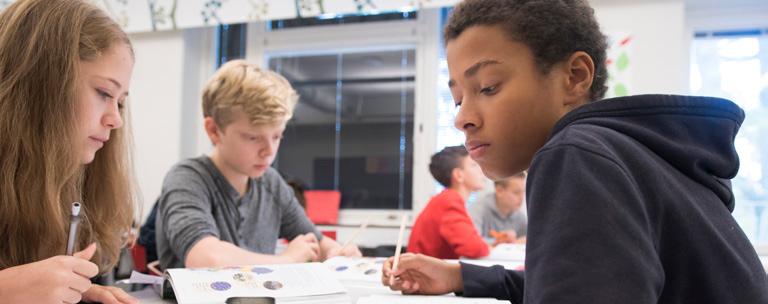 Exempel på innehåll: Språkutvecklingens betydelse för lärandet i matematik Stötta elevers utveckling av matematikspråket Planera för en utvecklad