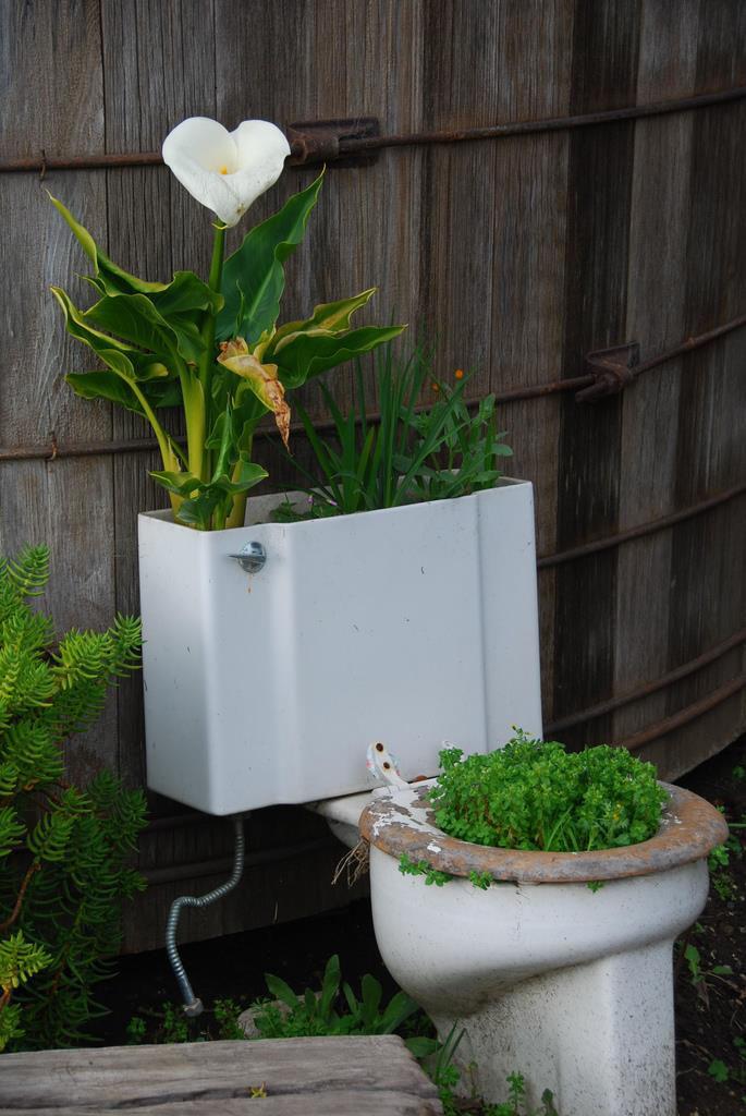 Hur får vi hållbarhet i gröna sanitetssystem? Linus Dagerskog Research Fellow Foto: J. Robertson www.flickr.
